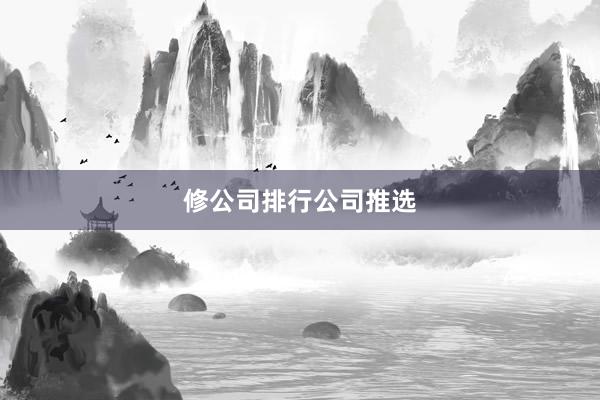 修公司排行公司推选