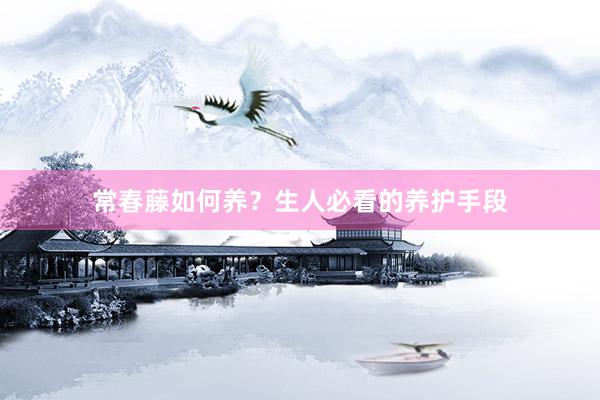 常春藤如何养？生人必看的养护手段