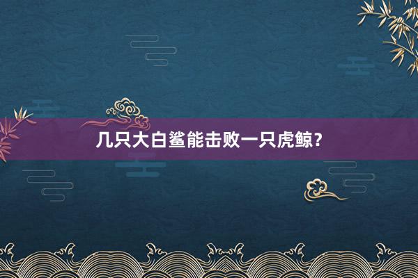 几只大白鲨能击败一只虎鲸？